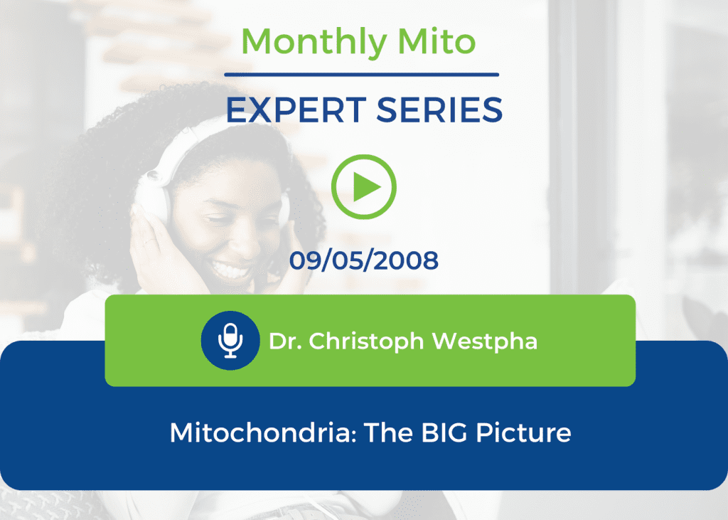 Mitochondria: The BIG Picture
