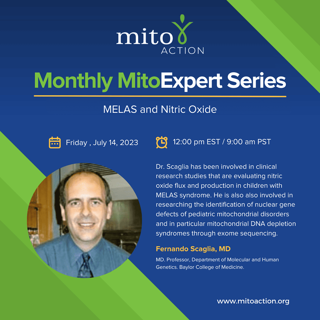 Expert Series: MELAS and Nitric Oxide