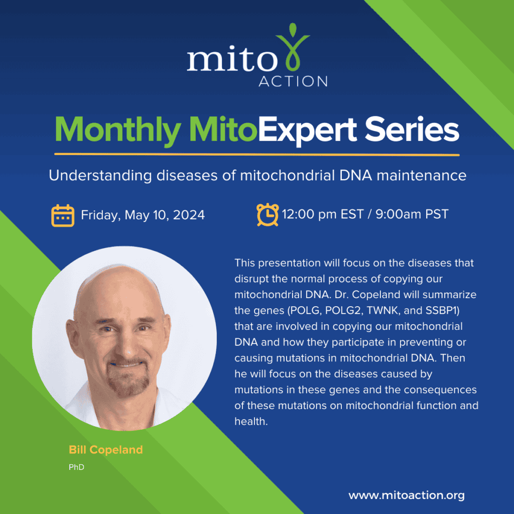 Expert Series: Understanding diseases of mitochondrial DNA maintenance