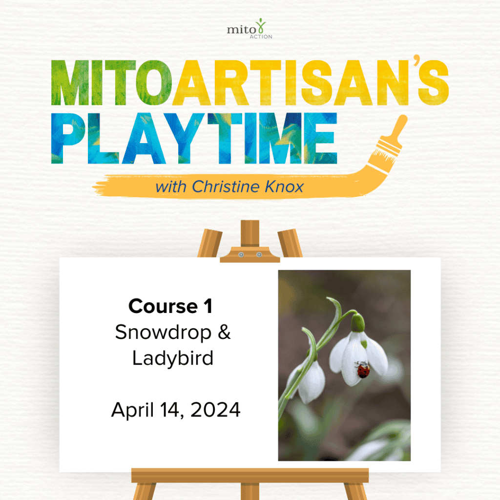 MitoArtisan’s Playtime – Course 1: Snowdrop and Ladybird