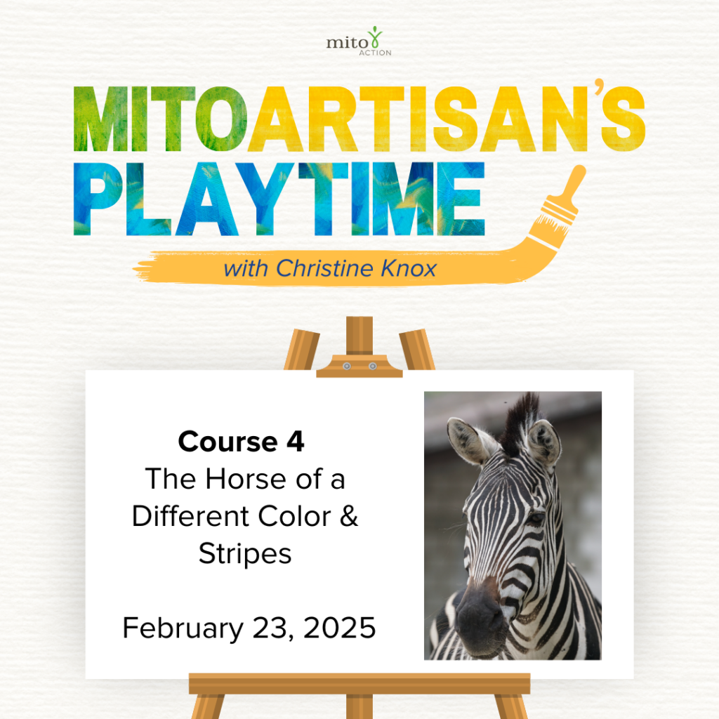 MitoArtisan’s Playtime – Course 4: The Horse of a Different Color & Stripes