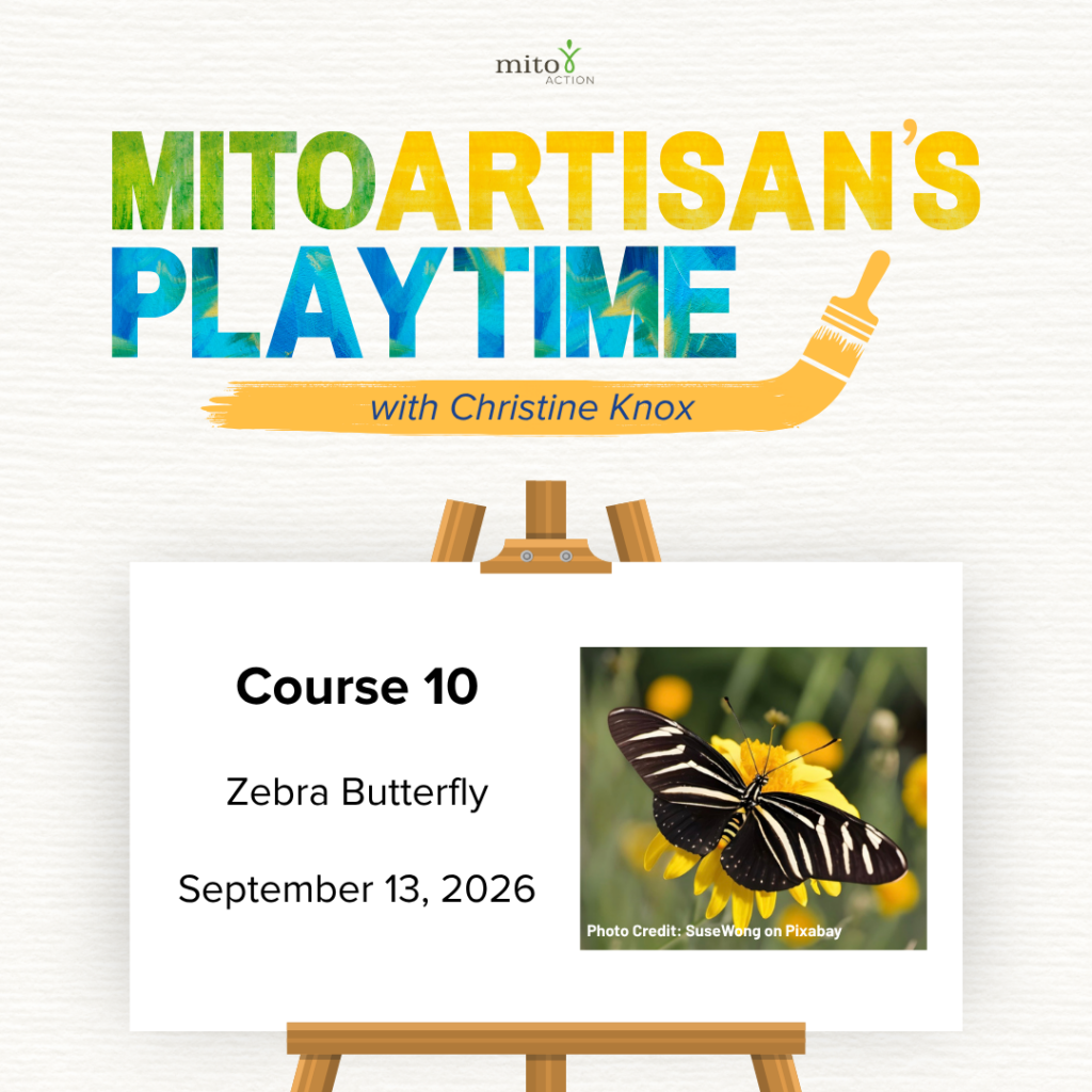MitoArtisans Course 10-4 - MitoAction MitoAction